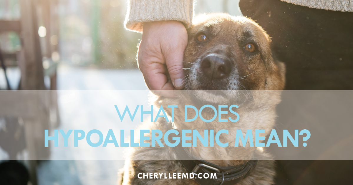 What Does Hypoallergenic Mean?